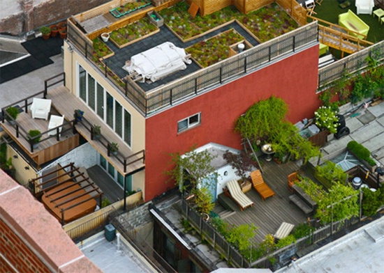 Бюджетные идеи по озеленению крыши