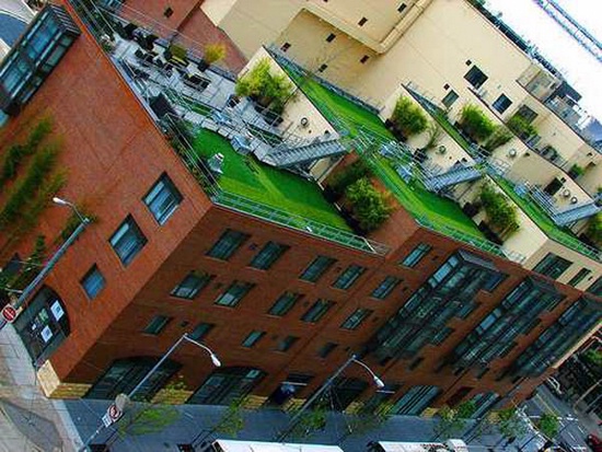 Бюджетные идеи по озеленению крыши