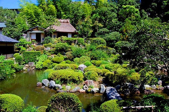 Дизайн японского сада для прогулок