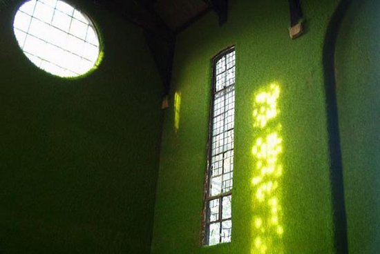 Зеленые стены: галерея Dilston Grove
